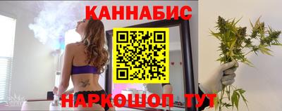 индика Лесосибирск
