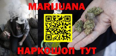индика Лесосибирск