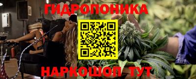 индика Лесосибирск