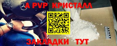 индика Лесосибирск