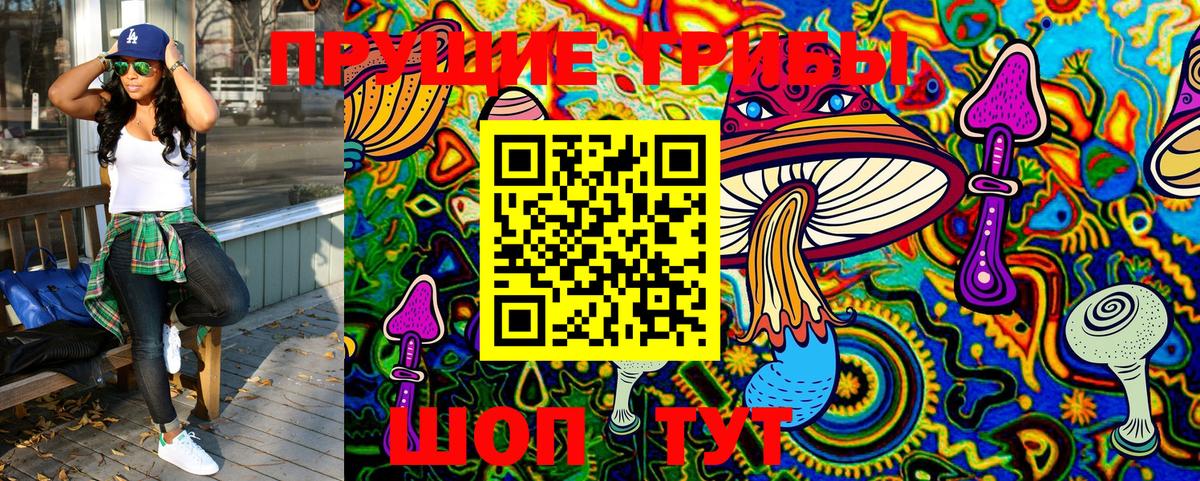 Псилоцибиновые грибы MAGIC MUSHROOMS  Псилоцибиновые грибы прущие грибы  Вход с VPN  Чебаркуль 